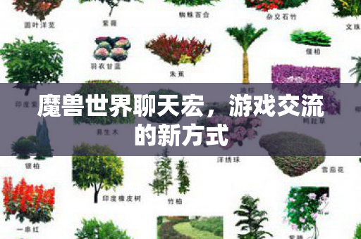 魔兽世界聊天宏，游戏交流的新方式