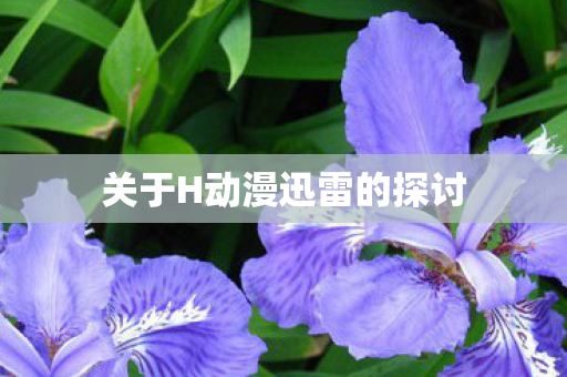 关于H动漫迅雷的探讨