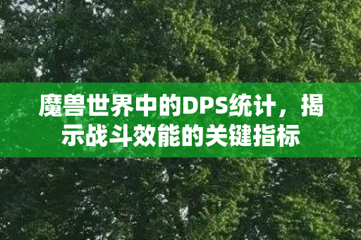魔兽世界中的DPS统计，揭示战斗效能的关键指标