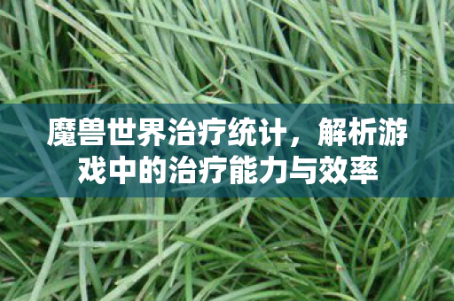 魔兽世界治疗统计，解析游戏中的治疗能力与效率