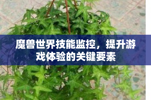 魔兽世界技能监控，提升游戏体验的关键要素