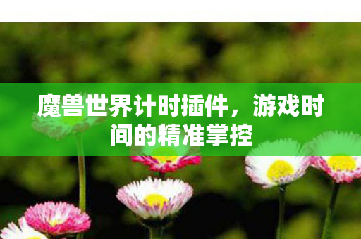 魔兽世界计时插件，游戏时间的精准掌控