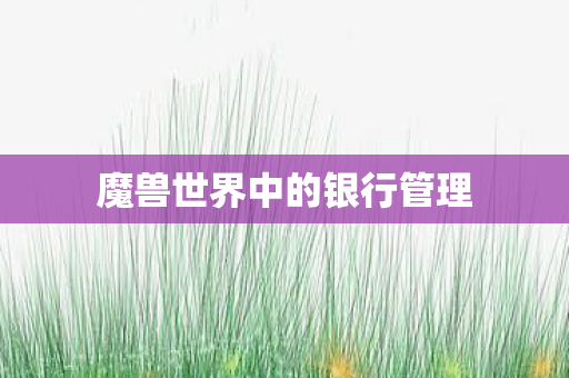 魔兽世界中的银行管理