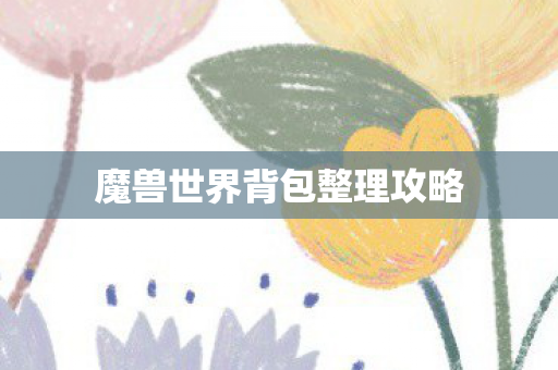 魔兽世界背包整理攻略