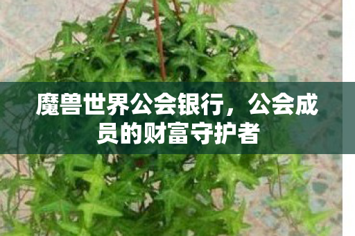 魔兽世界公会银行，公会成员的财富守护者