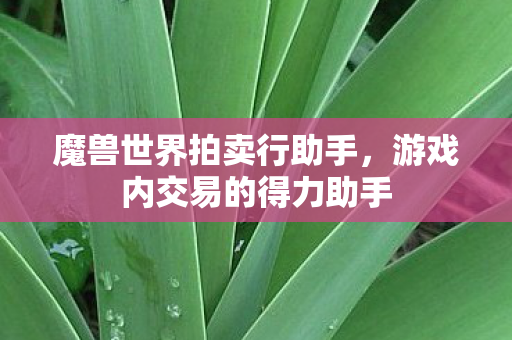 魔兽世界拍卖行助手，游戏内交易的得力助手