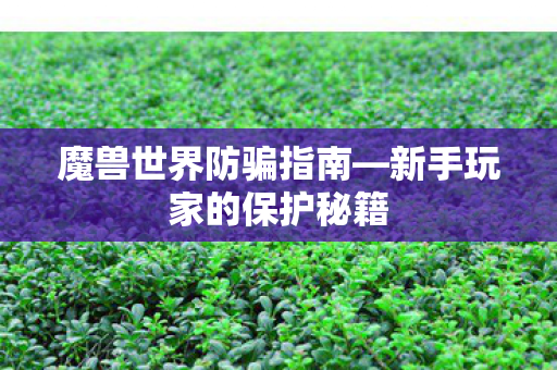 魔兽世界防骗指南—新手玩家的保护秘籍