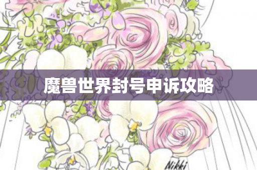 魔兽世界封号申诉攻略