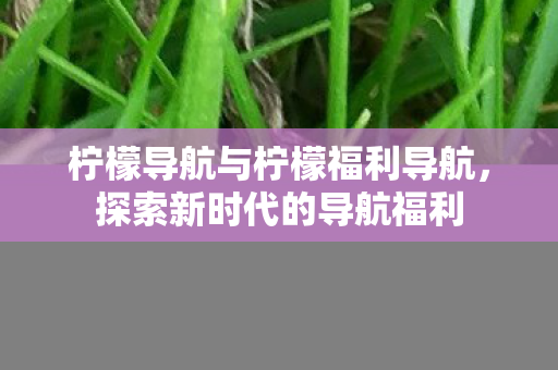 柠檬导航与柠檬福利导航,探索新时代的导航福利 柠檬导航与柠檬福利导航,探索新时代的导航福利