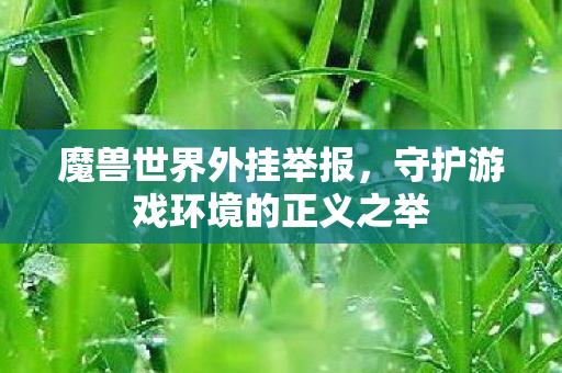 魔兽世界外挂举报，守护游戏环境的正义之举