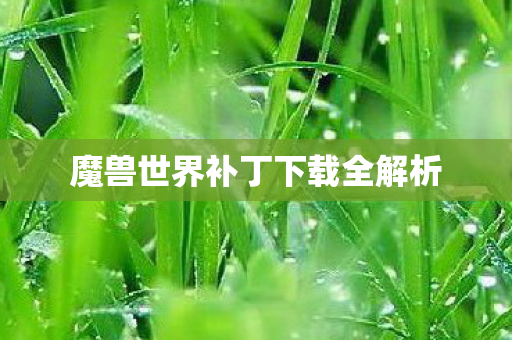 魔兽世界补丁下载全解析