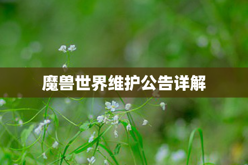 魔兽世界维护公告详解
