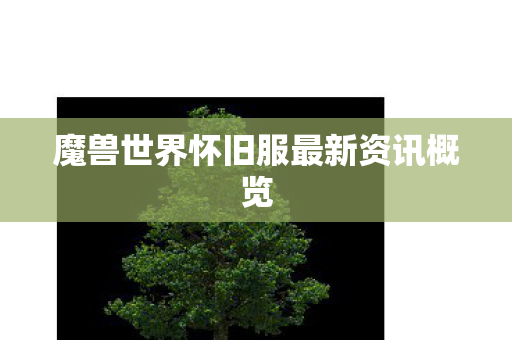 魔兽世界怀旧服最新资讯概览