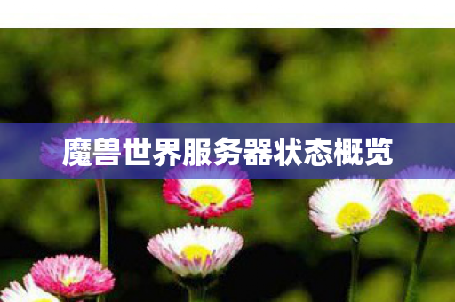 魔兽世界服务器状态概览