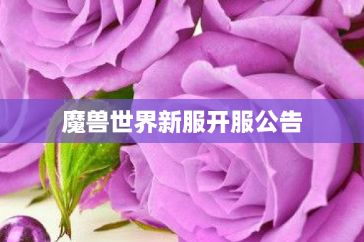 魔兽世界新服开服公告