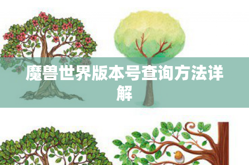 魔兽世界版本号查询方法详解