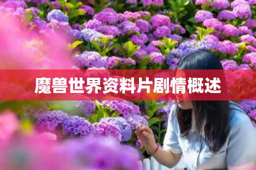魔兽世界资料片剧情概述
