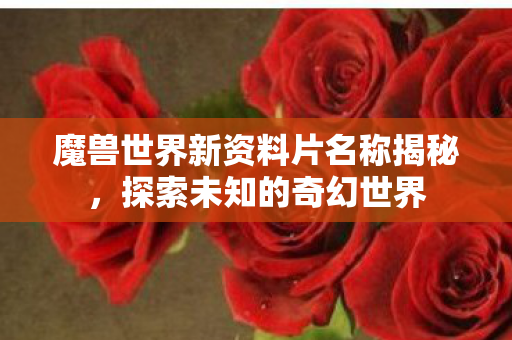 魔兽世界新资料片名称揭秘，探索未知的奇幻世界