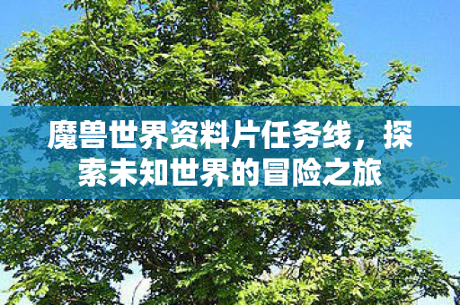 魔兽世界资料片任务线,探索未知世界的冒险之旅 魔兽世界资料片任务线,探索未知世界的冒险之旅