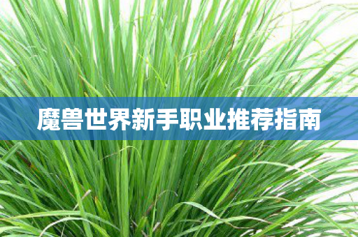 魔兽世界新手职业推荐指南 魔兽世界新手职业推荐指南