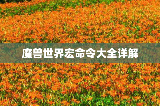 魔兽世界宏命令大全详解