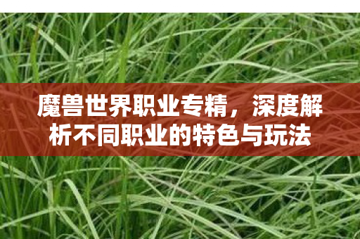 魔兽世界职业专精，深度解析不同职业的特色与玩法