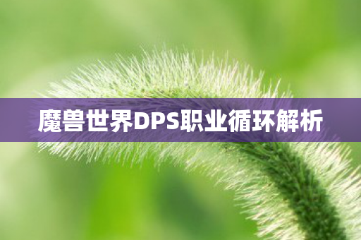 魔兽世界DPS职业循环解析