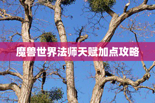 魔兽世界法师天赋加点攻略