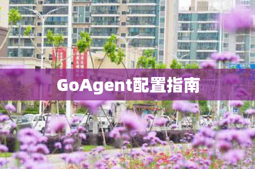 GoAgent配置指南 GoAgent配置指南