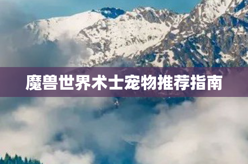 魔兽世界术士宠物推荐指南