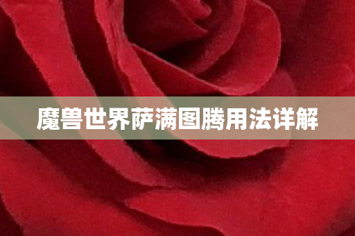 魔兽世界萨满图腾用法详解