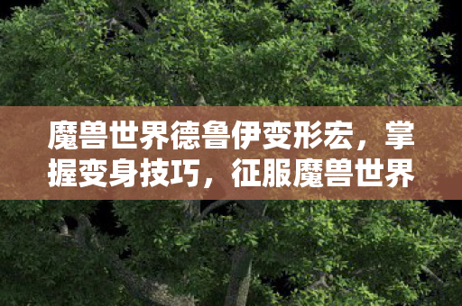 魔兽世界德鲁伊变形宏，掌握变身技巧，征服魔兽世界