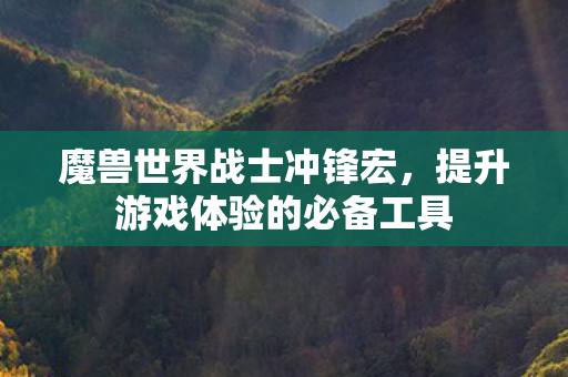 魔兽世界战士冲锋宏，提升游戏体验的必备工具