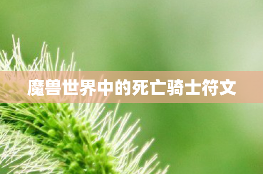 魔兽世界中的死亡骑士符文