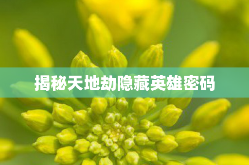 揭秘天地劫隐藏英雄密码 揭秘天地劫隐藏英雄密码