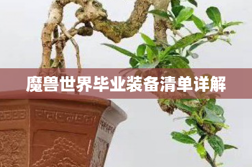 魔兽世界毕业装备清单详解