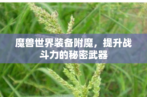 魔兽世界装备附魔，提升战斗力的秘密武器