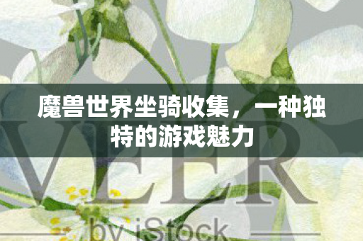 魔兽世界坐骑收集，一种独特的游戏魅力