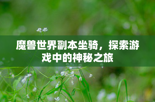 魔兽世界副本坐骑，探索游戏中的神秘之旅