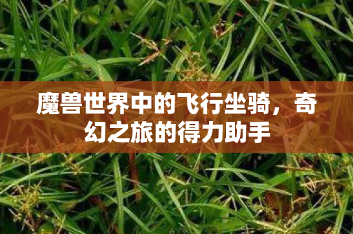 魔兽世界中的飞行坐骑,奇幻之旅的得力助手 魔兽世界中的飞行坐骑,奇幻之旅的得力助手