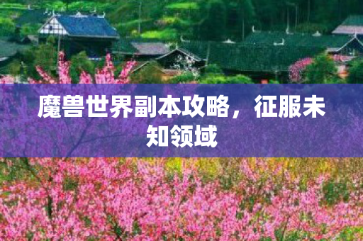 魔兽世界副本攻略，征服未知领域