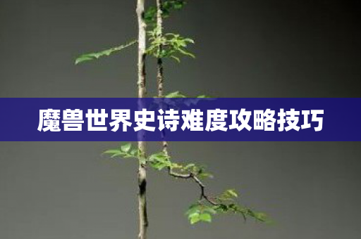 魔兽世界史诗难度攻略技巧