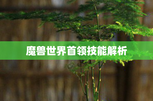 魔兽世界首领技能解析