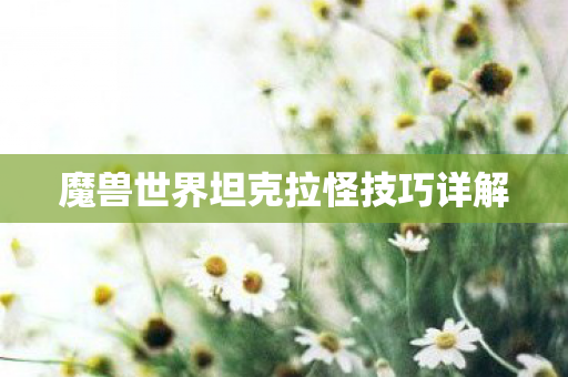 魔兽世界坦克拉怪技巧详解