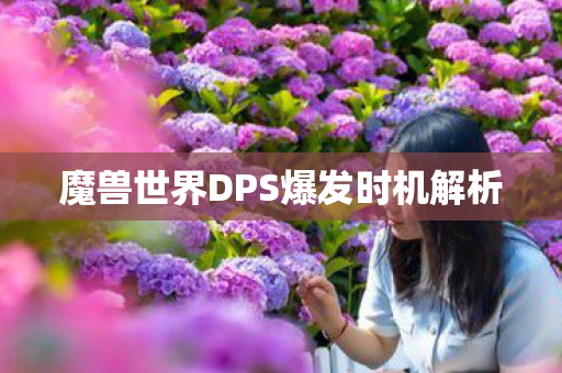 魔兽世界DPS爆发时机解析