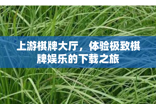 上游棋牌大厅，体验极致棋牌娱乐的下载之旅