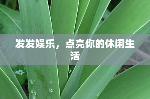 发发娱乐,点亮你的休闲生活 发发娱乐,点亮你的休闲生活