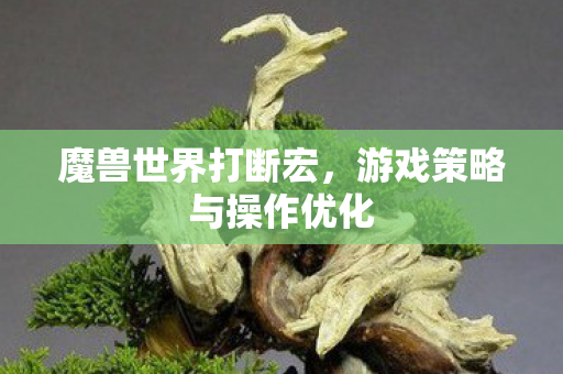 魔兽世界打断宏，游戏策略与操作优化