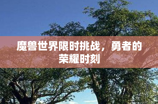魔兽世界限时挑战,勇者的荣耀时刻 魔兽世界限时挑战,勇者的荣耀时刻