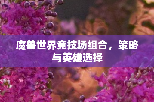 魔兽世界竞技场组合，策略与英雄选择